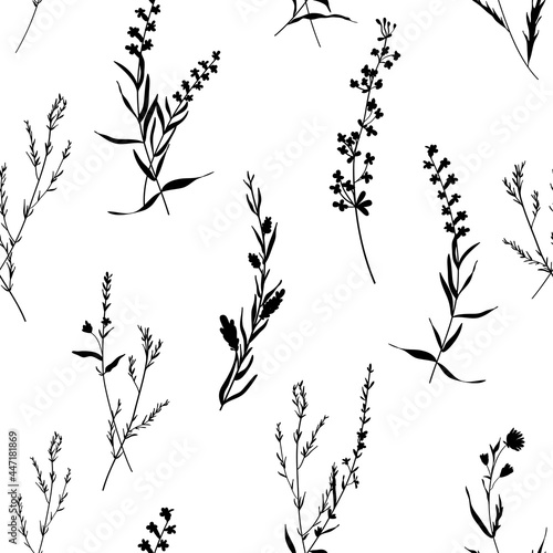 Fototapeta Naklejka Na Ścianę i Meble -  Silhouettes herbarium monochrome floral seamless pattern. Wild branches, leaves, flowers scattered random. Botanical vector illustration on white.