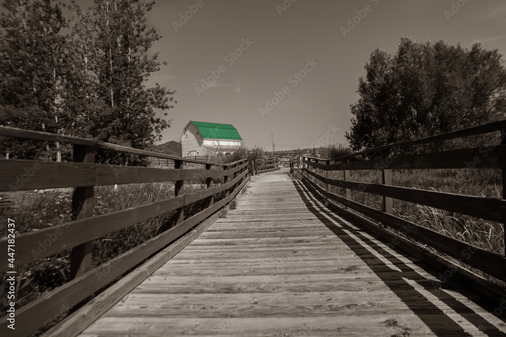 Fototapeta premium Green Roof