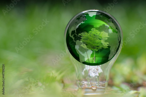 Light bulb save world and ecology  light bulb on green grass background 
