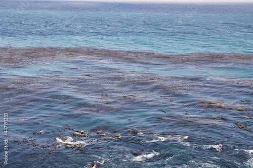 Hiking and Surfing Sand Dollar Beach in Big Sur