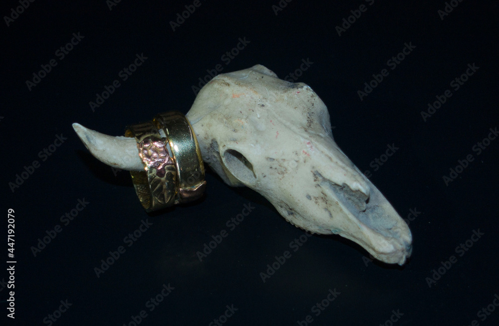 anillos con cráneo anillos con cráneo