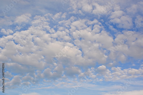 Fototapeta Naklejka Na Ścianę i Meble -  Small white cumulus clouds above the horizon in the blue sky. Background, Texture, Wallpaper