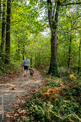 Uncle and nephew walk along a picturesque green path in a wild deciduous forest
