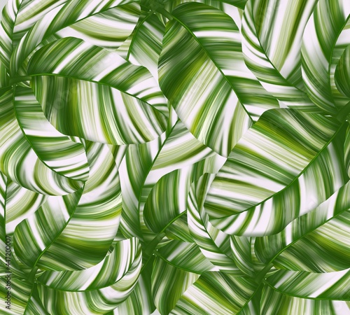 Musa Florida Variegated  illustration design for the decorations on background ,digital photo painting art style 