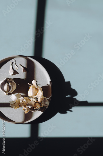 Italian Garlic on a blue background with dark shadows
