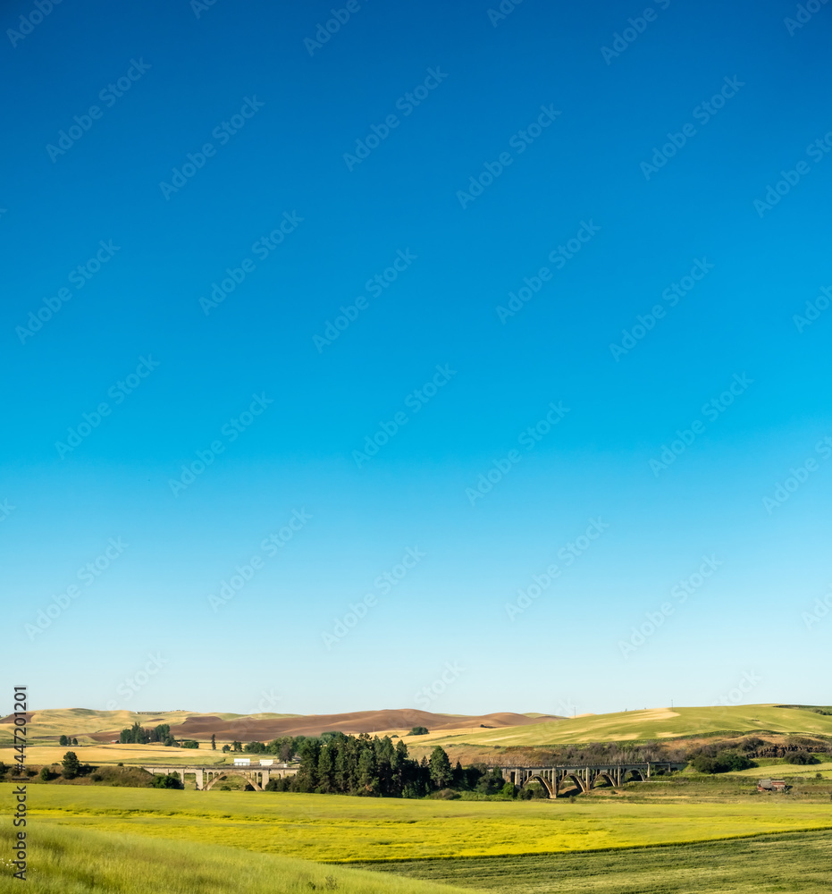 Magical wheat farm fields in palouse washington Magical wheat farm fields in palouse washington