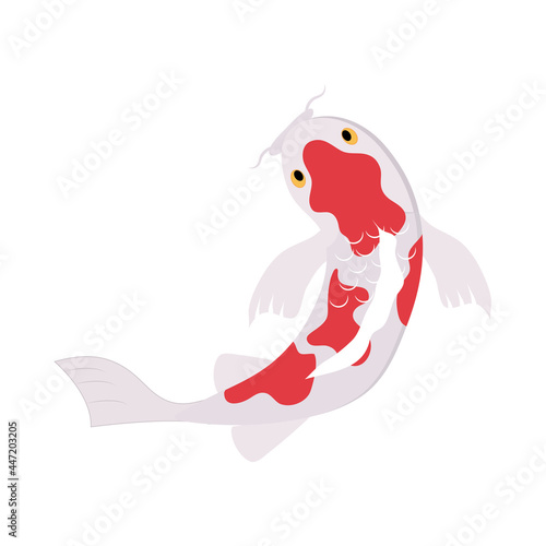 oriental koi fish