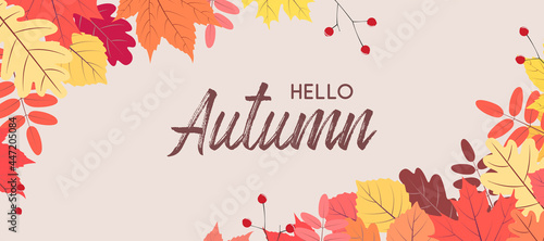 Hello autumn falling leaves. Autumnal foliage fall and poplar leaves. Autumn design. Templates for placards, banners, flyers, presentations, reports.