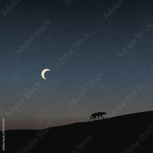 A Wolf Walking In The Field