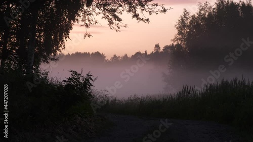 Mist rising in early morning forestry landscape near gravel road, static view photo