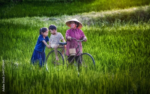 Farmers, grandmothers, grandsons and granddaughters lead bicycles in the middle of green rice fields.