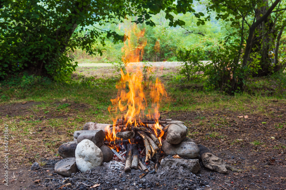 Campfire at a picnic in the forest Campfire at a picnic in the forest