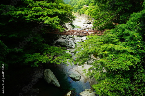 Iya Kazurabashi Bridge  Vine Bridge stretching across the river  in Tokushima  Japan -                                      