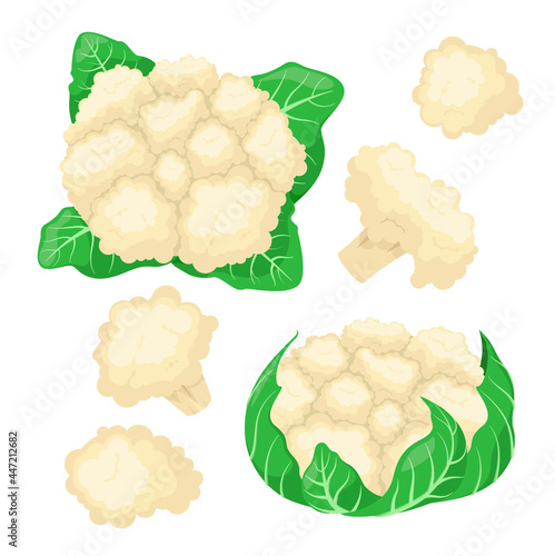 A set of cauliflower on a white background. Vegetables.