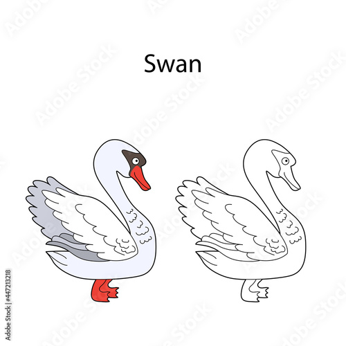 Funny cute bird swan isolated on white background. Linear, contour, black and white and colored version. Illustration can be used for coloring book and pictures for children