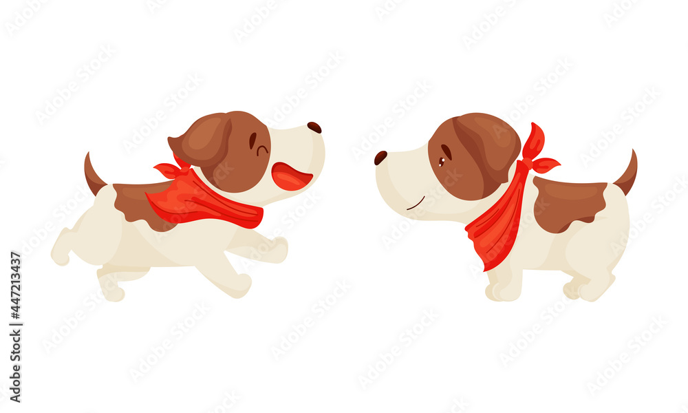 Fototapeta premium Jack Russell Terrier Standing and Running Vector Set