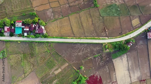 Rice Field With Cultivated Terrain On Countryside Of Catmon In Saint Bernard, Southern Leyte, Philippines. - Aerial Shot photo