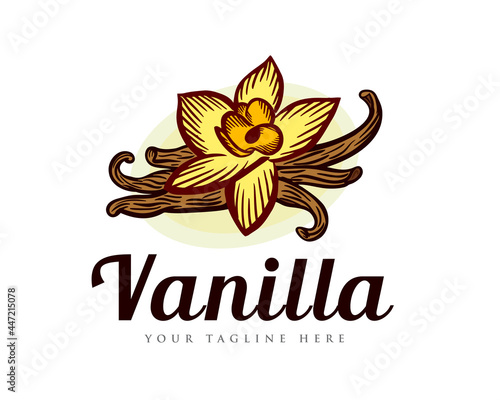 vanilla art drawn vintage logo template illustration inspiration