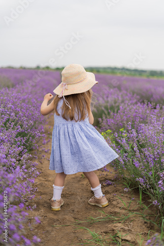 girl in a hat in a lavender field