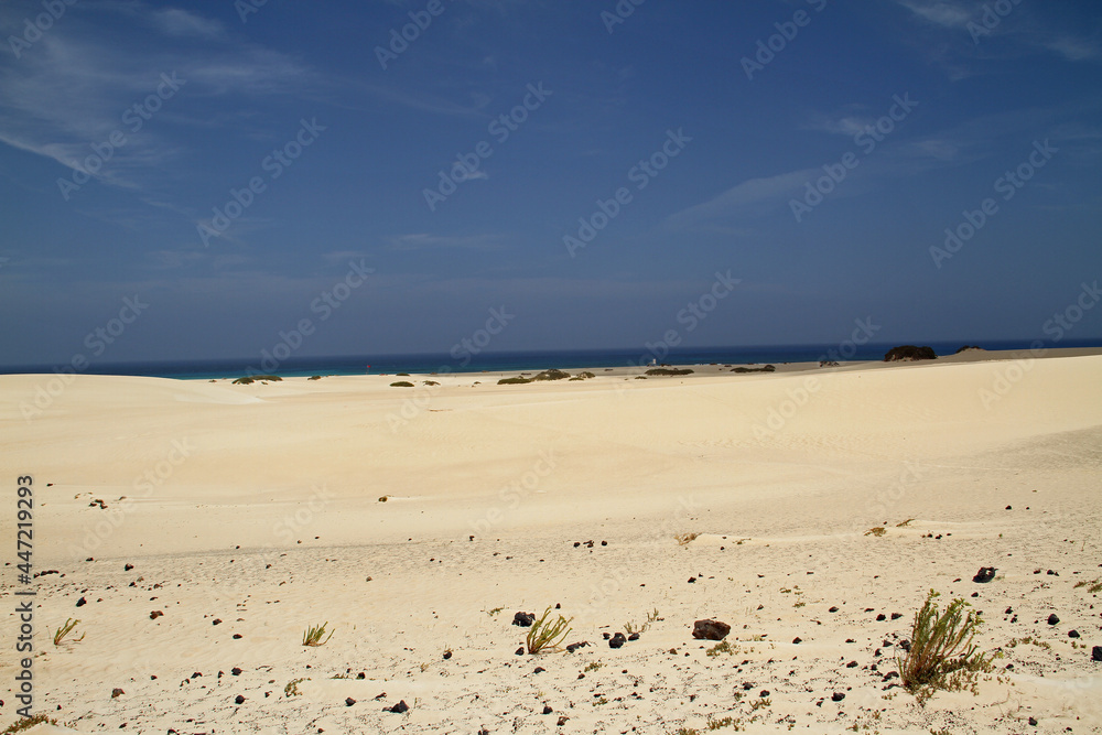 Różnorodny  krajobraz  wyspy Fuerteventura - obrazy, fototapety, plakaty 