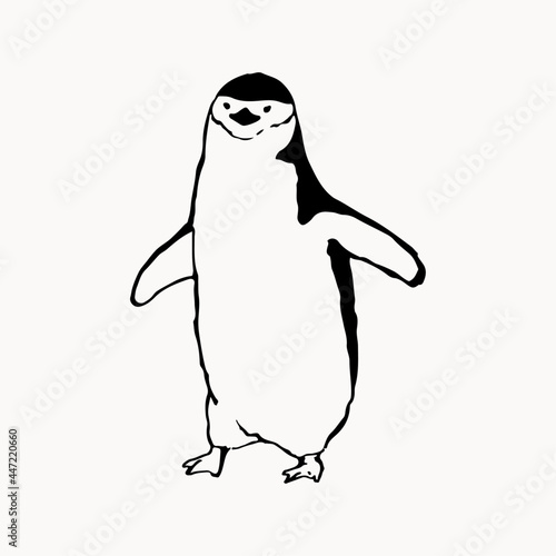 シンプルな手描きのペンギンのイラスト