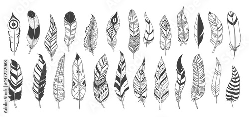 Rustic Ethnic decorative feathers, drawn ink boho vintage vector tribal feathers.