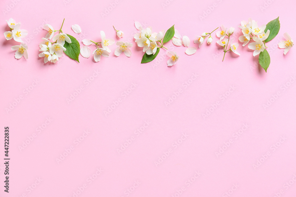 Naklejka premium Beautiful jasmine flowers on color background