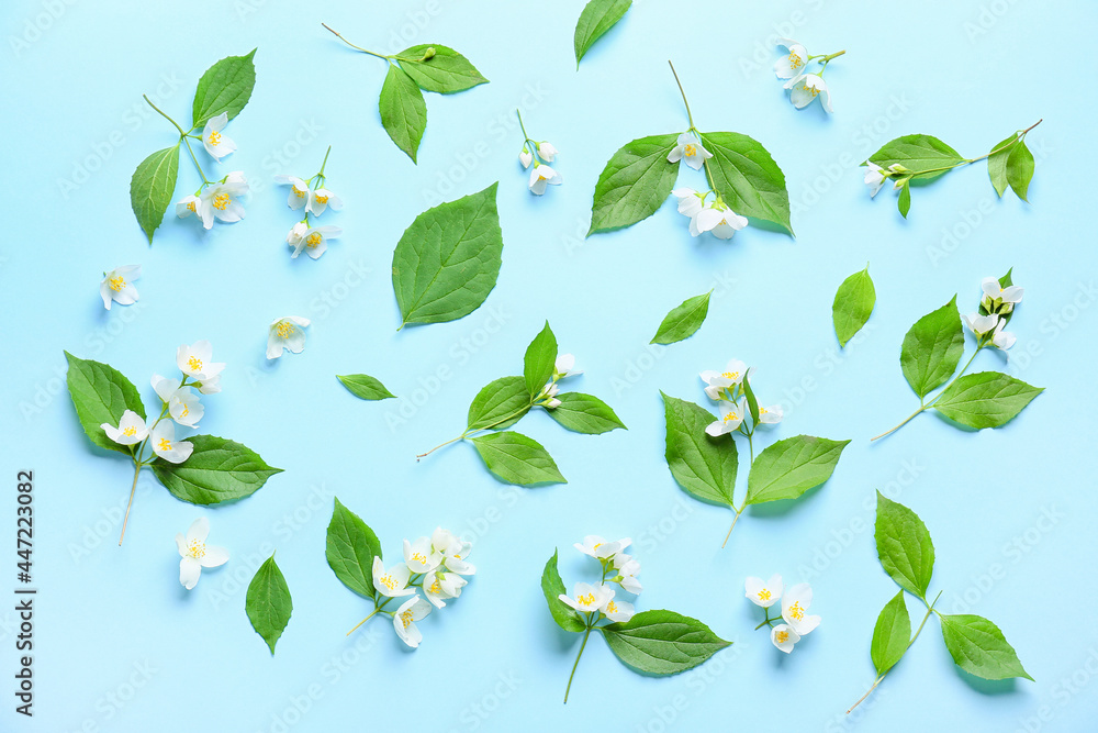 Beautiful jasmine flowers on color background