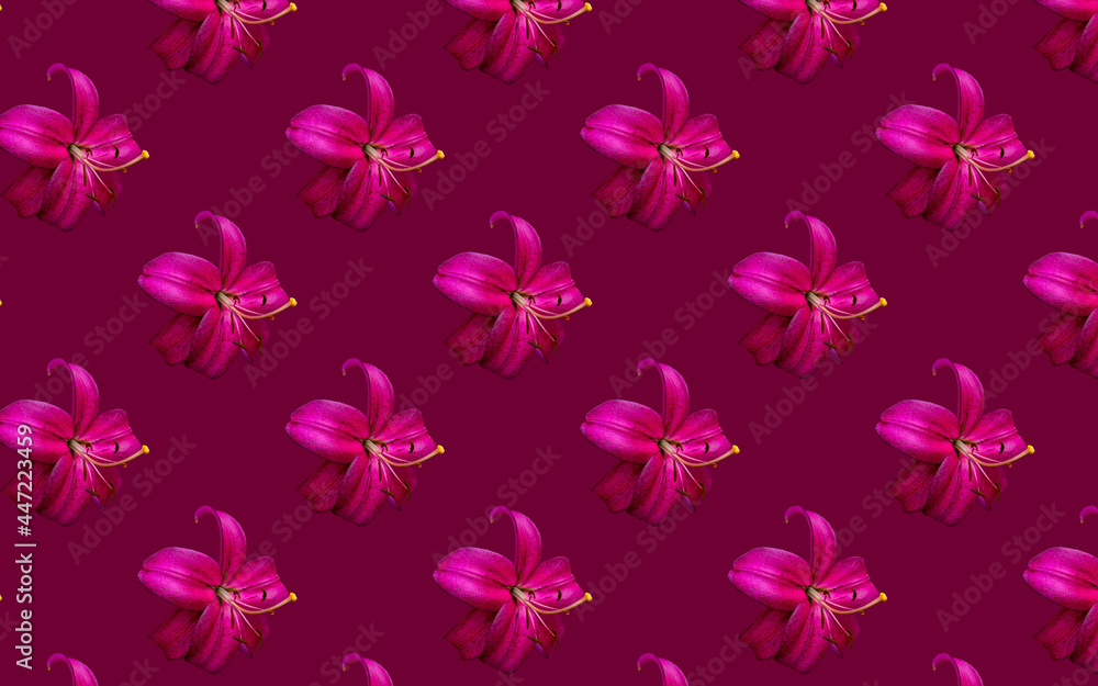 Beautiful flowers lilies. Seamless pattern of Lily flower bloom. Floral natural background.