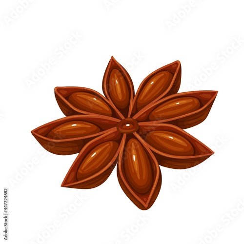 Star anice. Herbs and spices. Aromatic seasoning ingredient. Isolated vector illustration in cartoon style.