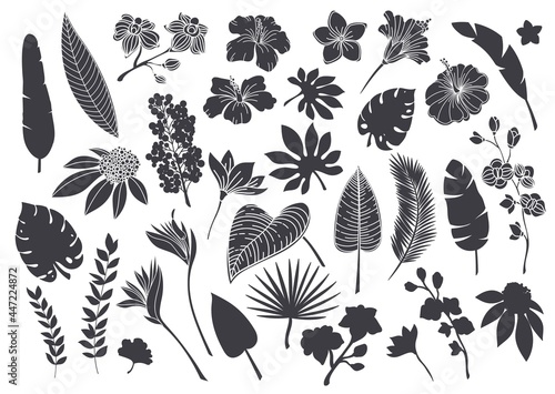 Silhouettes tropical leaves and flowers. Monochrome glyph forest palm monstera fern hawaiian leaves, orchid, hibiscus, plumeria flower. Plant tropical elements vector illustration.
