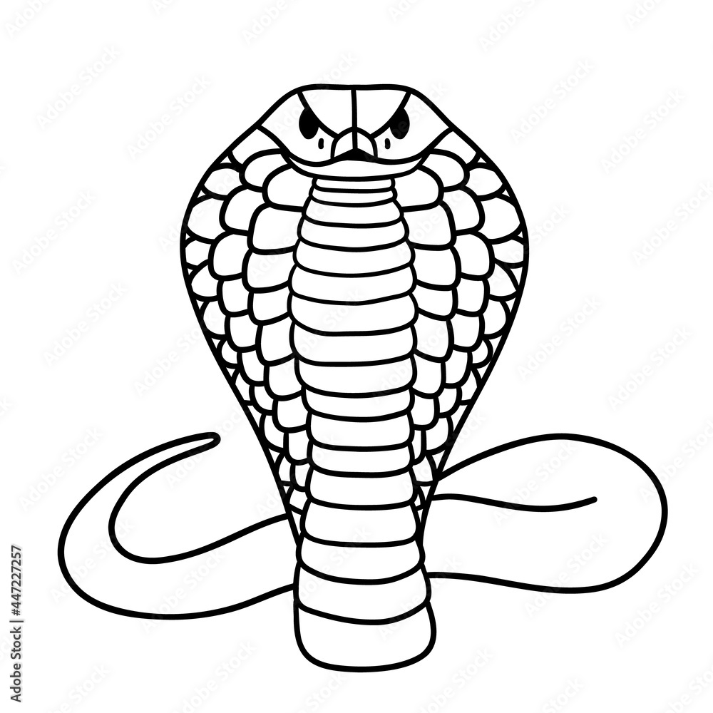 Fototapeta premium Aggressive cobra.. Black and white vector illustration hand drawn. Classic image of the snake is isolated on white