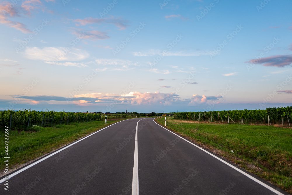Fototapeta premium road in the countryside