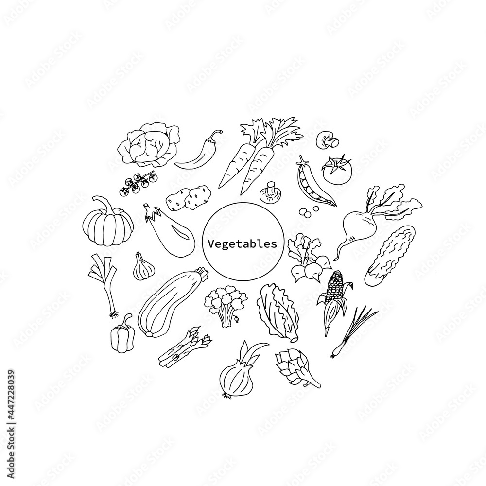 Doodle set of fruits drawn in a vector