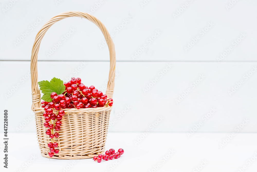 A small wicker basket with fresh red currants on a white wooden isolated background. A beautiful, healthy ripe summer berry. A small wicker basket with fresh red currants on a white wooden isolated background. A beautiful, healthy ripe summer berry.