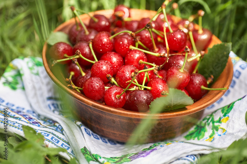 A bowl full of sweet ripe red cherries standing on the green grass.