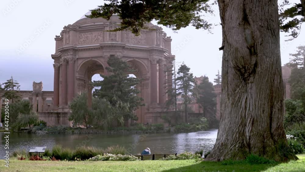 Person sitting on the bench, enjoying the view of the Palace of Fine Arts Person sitting on the bench, enjoying the view of the Palace of Fine Arts