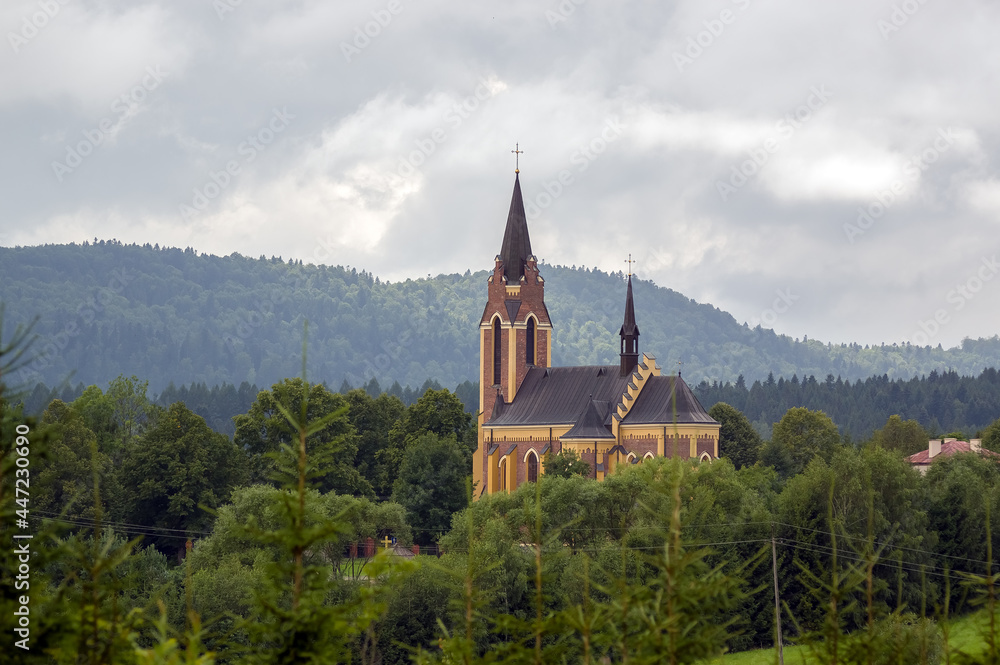 Zabytkowa katedra wśród drzew panorama z oddali	
