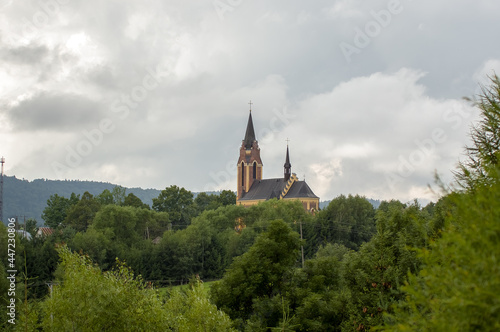 Zabytkowa katedra wśród drzew panorama z oddali