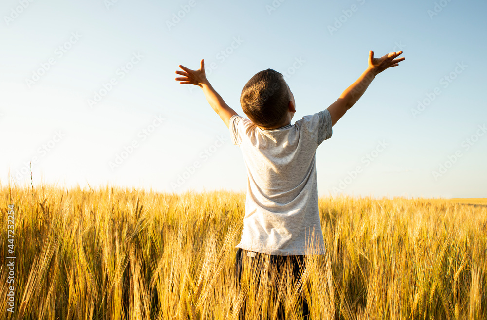 Boy raised his hands in the middle of the wheat field Boy raised his hands in the middle of the wheat field