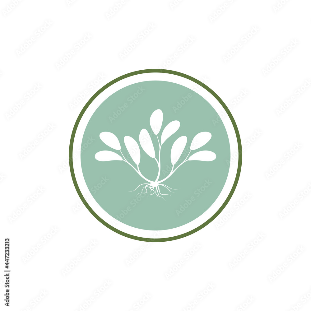 Leaf icon Vector Illustration design Logo template Leaf icon Vector Illustration design Logo template
