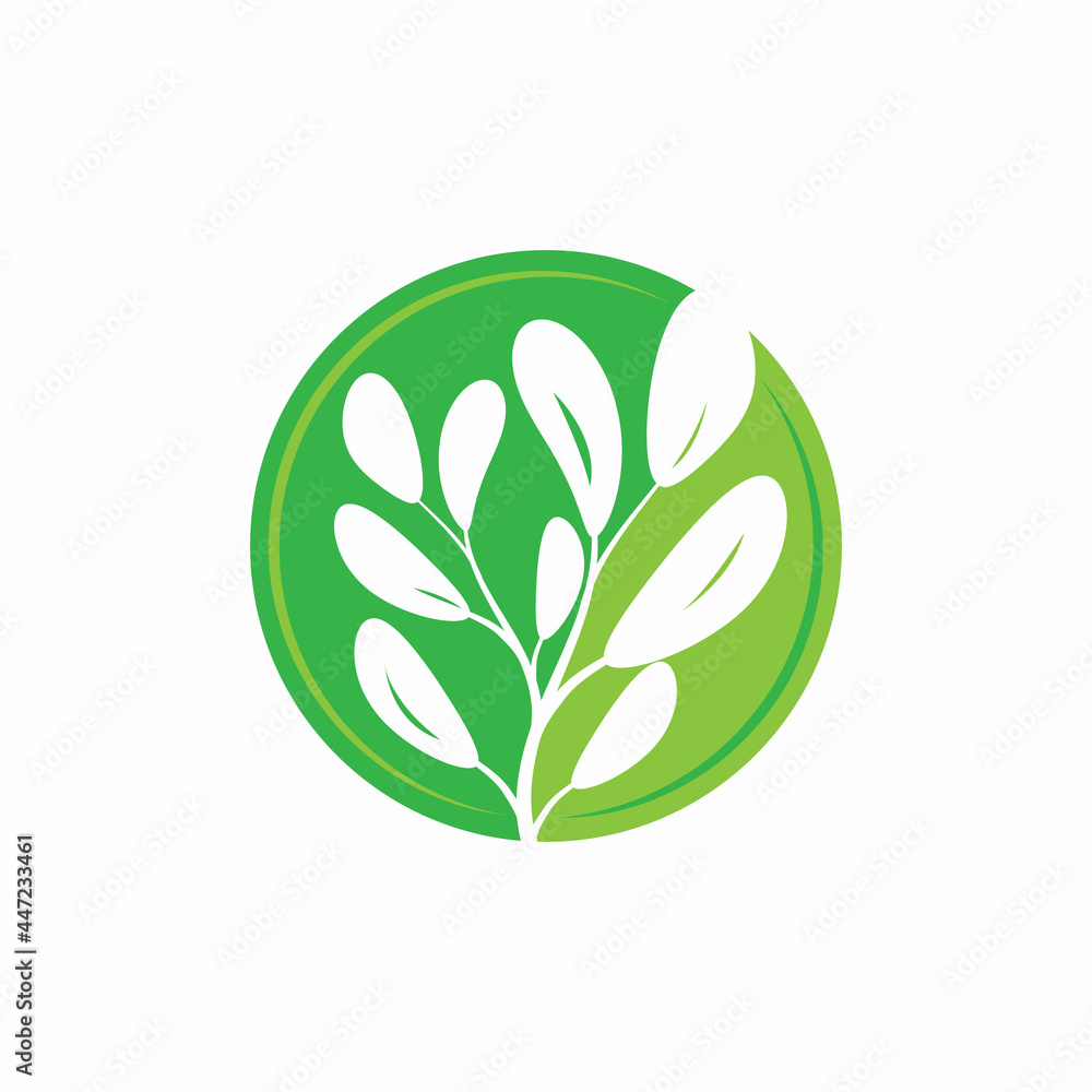 Leaf icon Vector Illustration design Logo template Leaf icon Vector Illustration design Logo template
