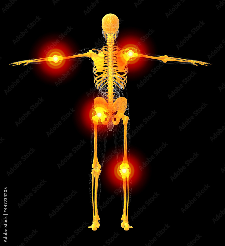 3D medical illustration of the human skeleton Stock Illustration ...