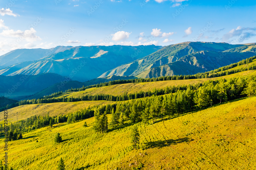 Aerial View of mountain and green forest with grass in Kanas Scenic Area,Xinjiang,China.