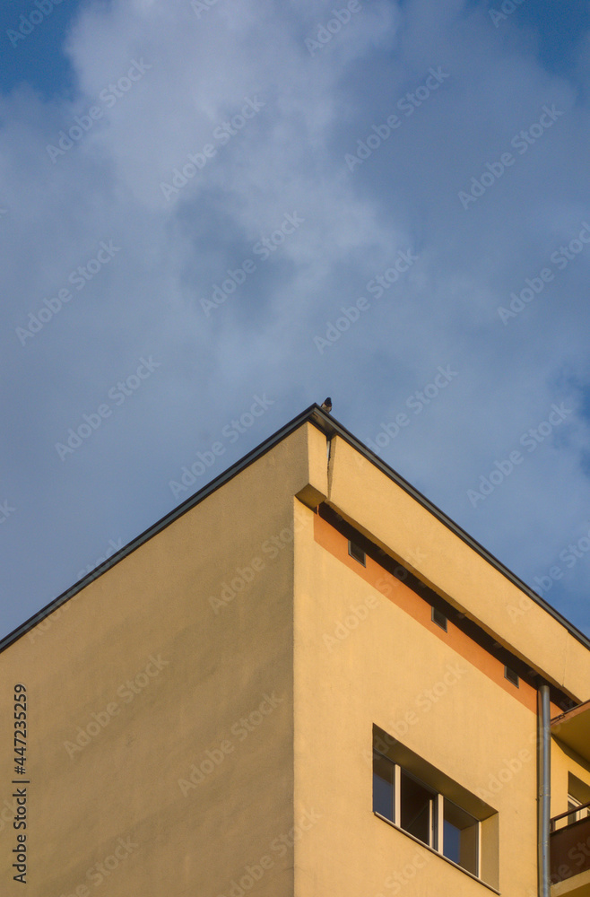 Roof edge with a bird on top
