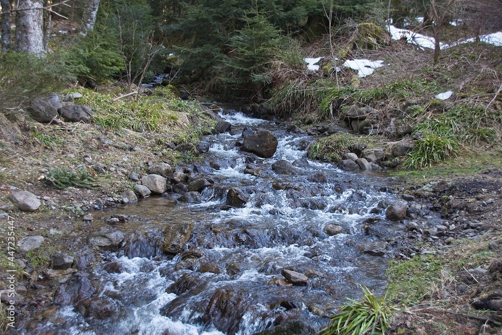 waterfall in the forest waterfall in the forest
