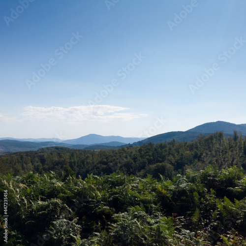 Hilly landscape of Manjaca mountain overgrown with forests near Banja Luka, Bosnia and Herzegovina © slobodan