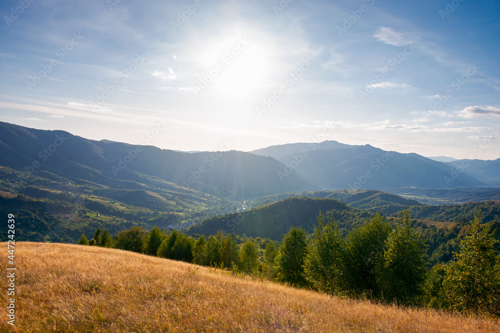 autumnal landscape of carpathian countryside. early autumn season in mountains. trees on the grassy hills rolling in to the distant valley. beautiful scenery on a warm sunny evening with clouds