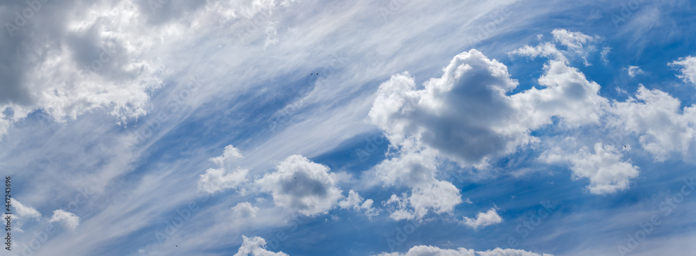 Fototapeta premium Sky with cirrus and cumulus clouds and flying birds