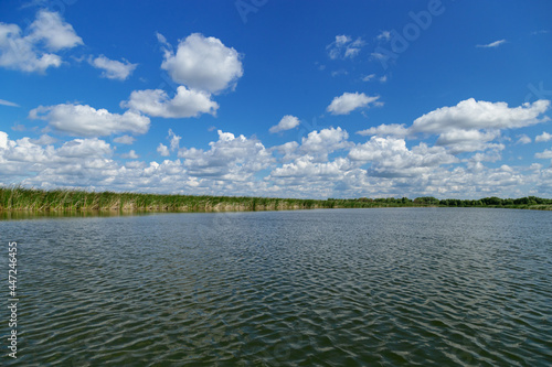 Nature summer landscape with tributary of Irtysh river and bright blue sky with clouds. Natural background and beautiful place